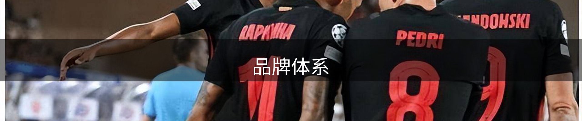 品牌体系